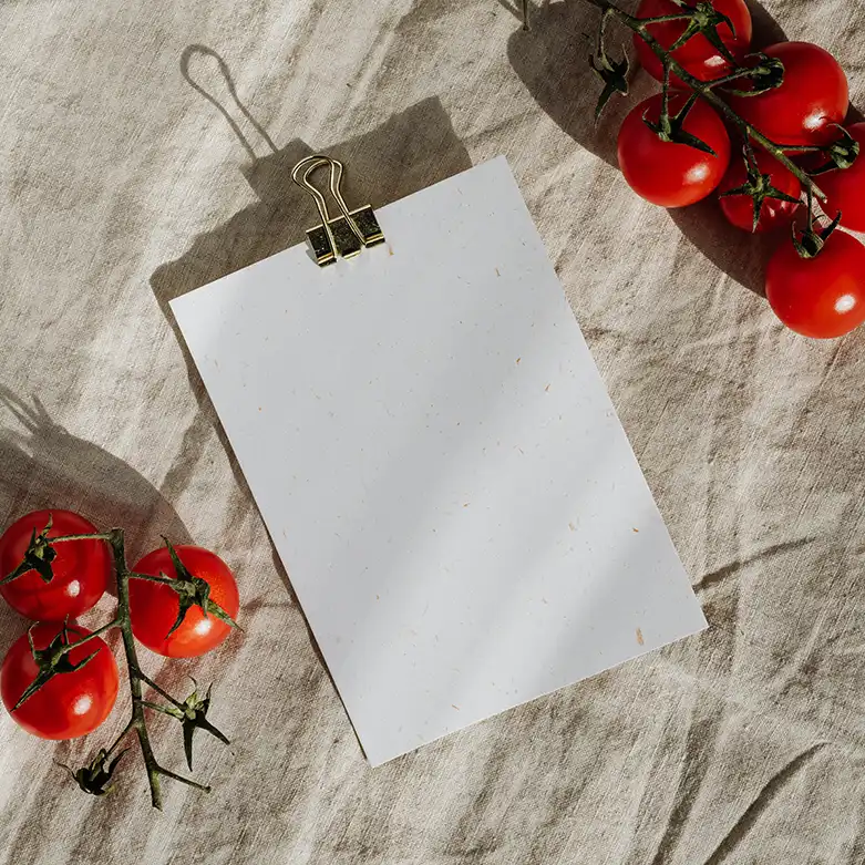 Blank sheet with tomatoes around it